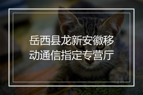 岳西县龙新安徽移动通信指定专营厅