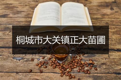桐城市大关镇正大苗圃