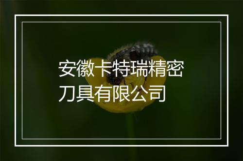 安徽卡特瑞精密刀具有限公司