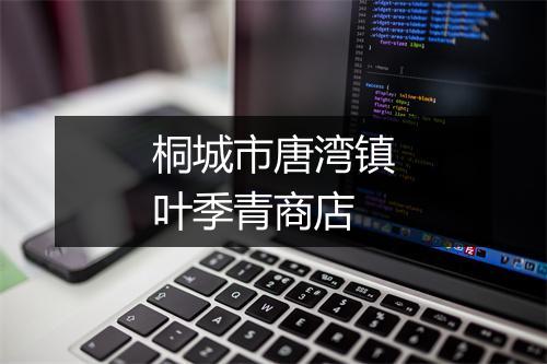 桐城市唐湾镇叶季青商店