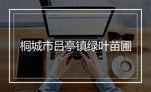 桐城市吕亭镇绿叶苗圃