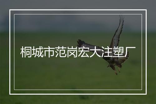 桐城市范岗宏大注塑厂