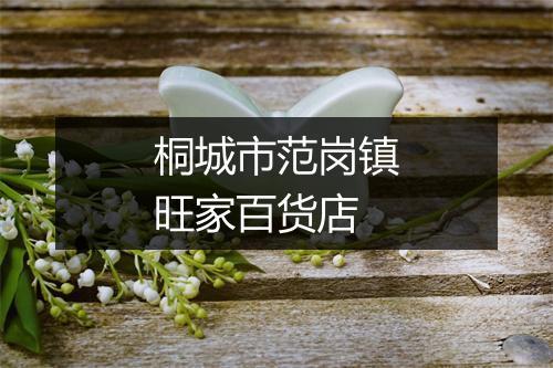 桐城市范岗镇旺家百货店