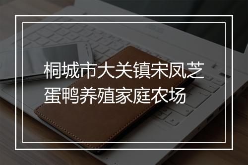 桐城市大关镇宋凤芝蛋鸭养殖家庭农场