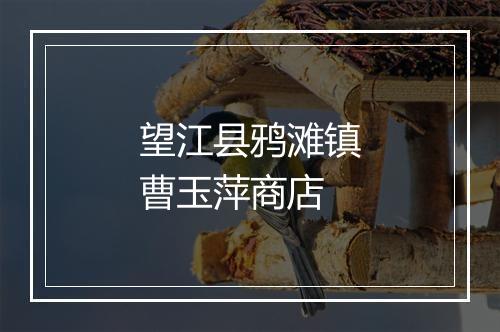 望江县鸦滩镇曹玉萍商店
