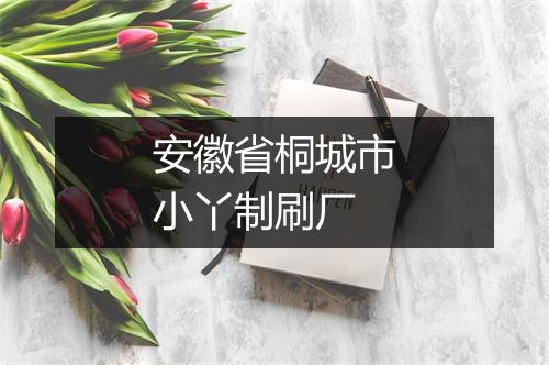 安徽省桐城市小丫制刷厂