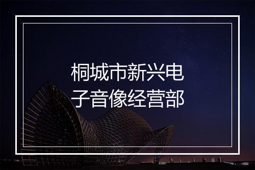 桐城市新兴电子音像经营部