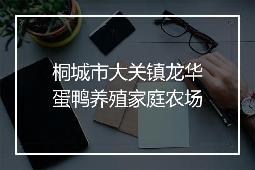 桐城市大关镇龙华蛋鸭养殖家庭农场