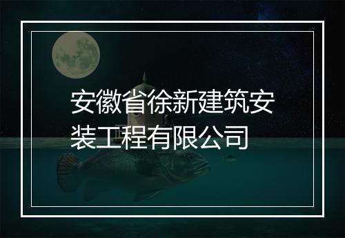 安徽省徐新建筑安装工程有限公司