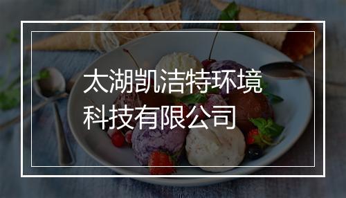 太湖凯洁特环境科技有限公司