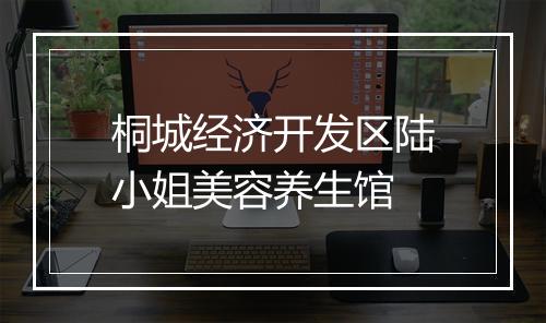 桐城经济开发区陆小姐美容养生馆