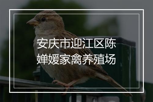安庆市迎江区陈婵媛家禽养殖场