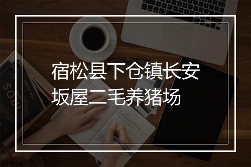宿松县下仓镇长安坂屋二毛养猪场