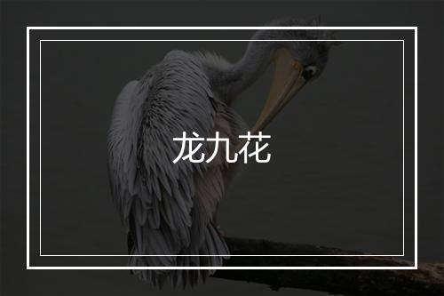 龙九花