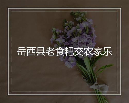 岳西县老食粑交农家乐