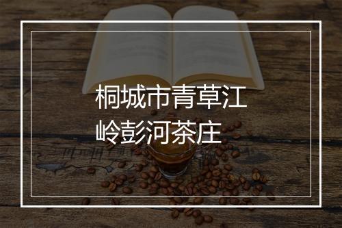 桐城市青草江岭彭河茶庄