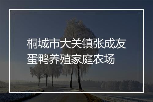 桐城市大关镇张成友蛋鸭养殖家庭农场