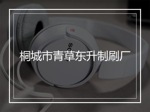 桐城市青草东升制刷厂