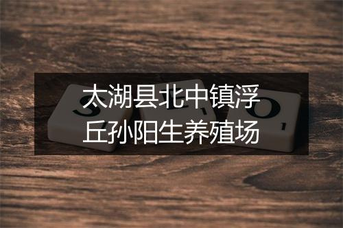 太湖县北中镇浮丘孙阳生养殖场