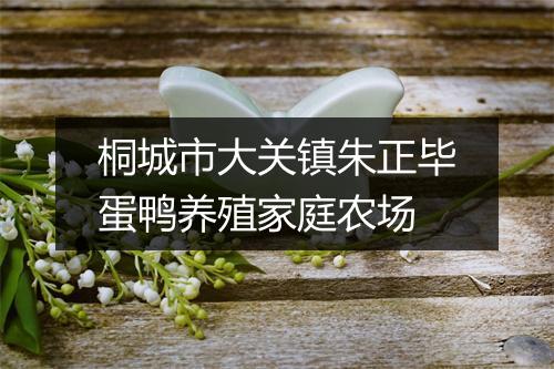 桐城市大关镇朱正毕蛋鸭养殖家庭农场