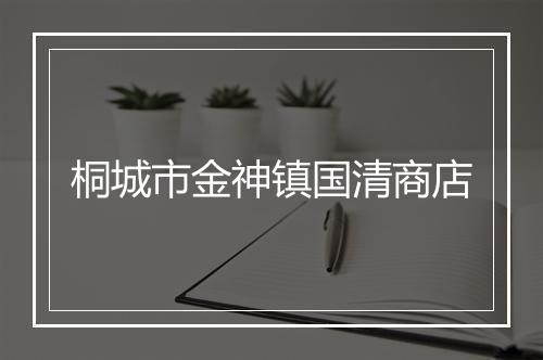 桐城市金神镇国清商店