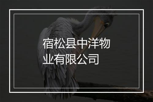 宿松县中洋物业有限公司