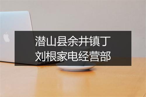 潜山县余井镇丁刘根家电经营部