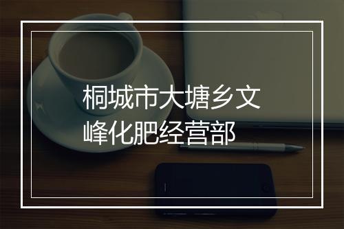 桐城市大塘乡文峰化肥经营部