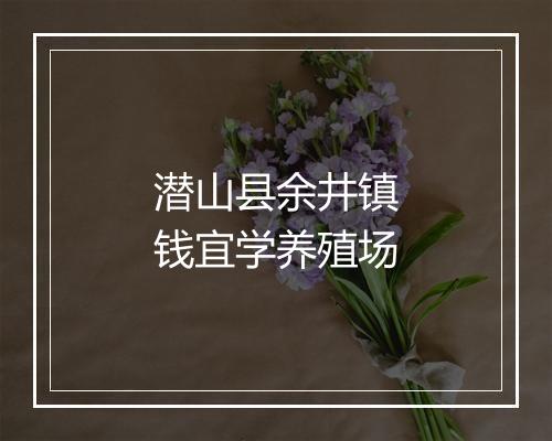 潜山县余井镇钱宜学养殖场