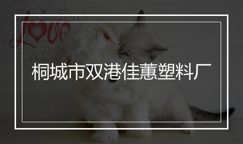 桐城市双港佳蕙塑料厂