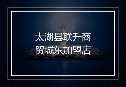 太湖县联升商贸城东加盟店