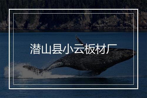 潜山县小云板材厂