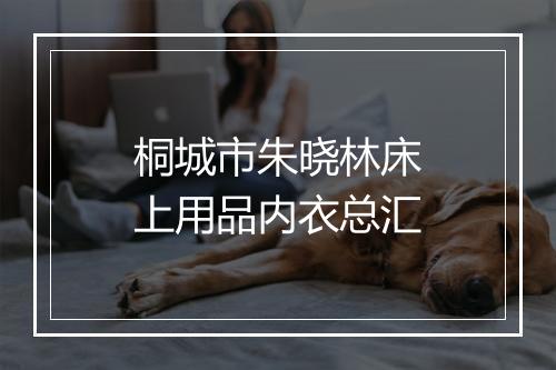 桐城市朱晓林床上用品内衣总汇
