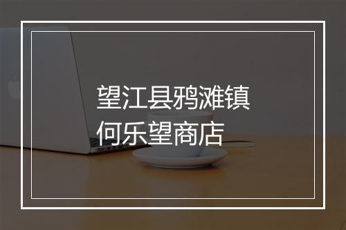 望江县鸦滩镇何乐望商店
