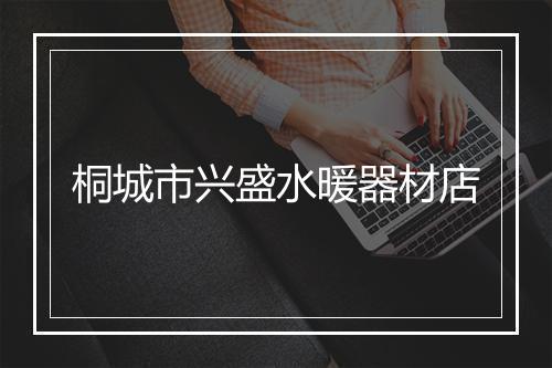桐城市兴盛水暖器材店