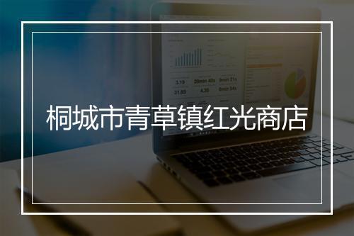 桐城市青草镇红光商店