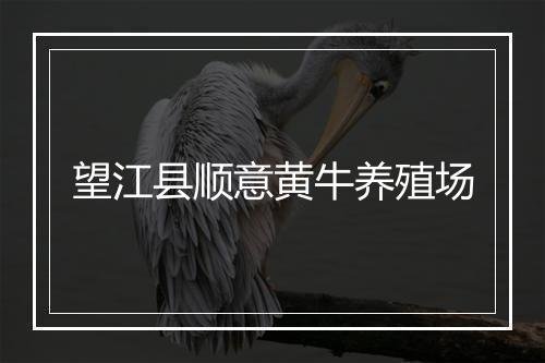 望江县顺意黄牛养殖场
