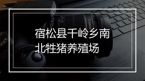宿松县千岭乡南北牲猪养殖场