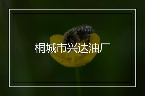 桐城市兴达油厂