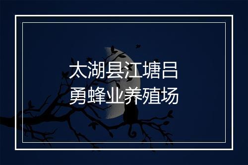 太湖县江塘吕勇蜂业养殖场