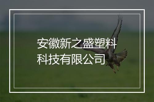 安徽新之盛塑料科技有限公司