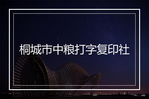 桐城市中粮打字复印社