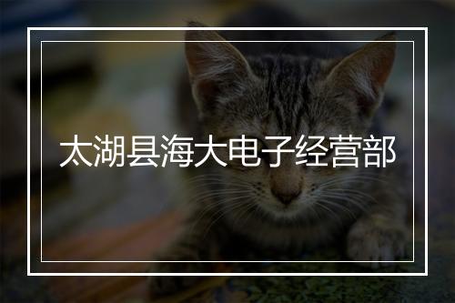 太湖县海大电子经营部