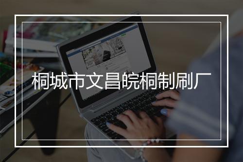 桐城市文昌皖桐制刷厂