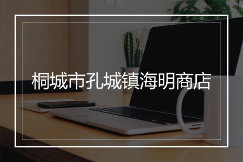 桐城市孔城镇海明商店