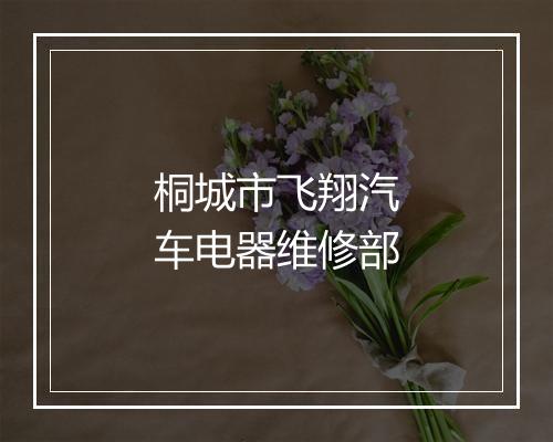 桐城市飞翔汽车电器维修部