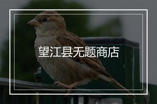 望江县无题商店