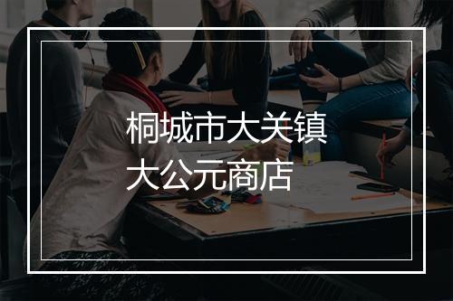 桐城市大关镇大公元商店