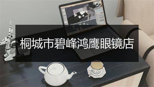 桐城市碧峰鸿鹰眼镜店