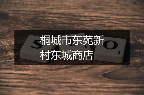 桐城市东苑新村东城商店